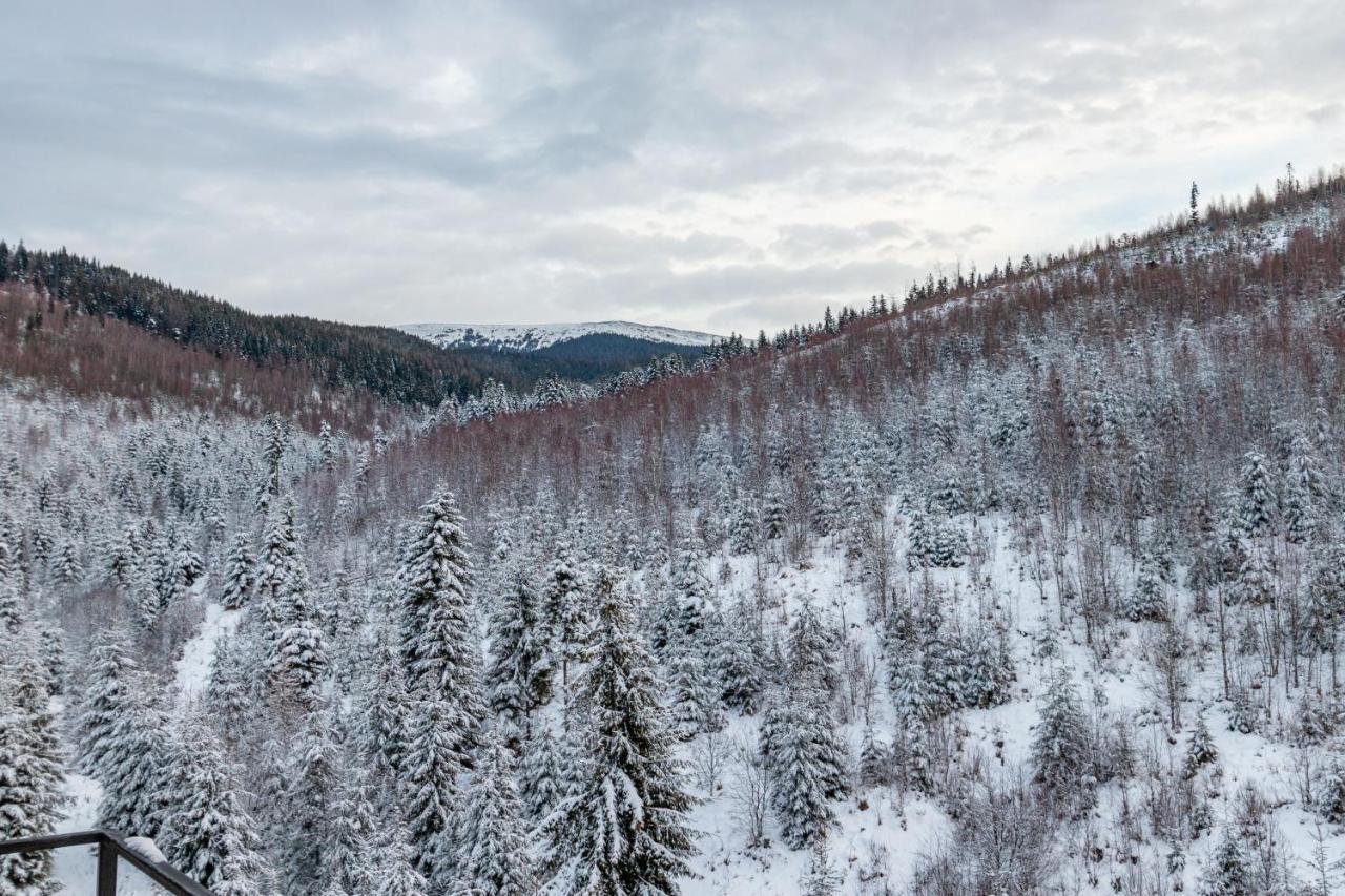 Konopka Forest Home & Spa Bukovel Extérieur photo