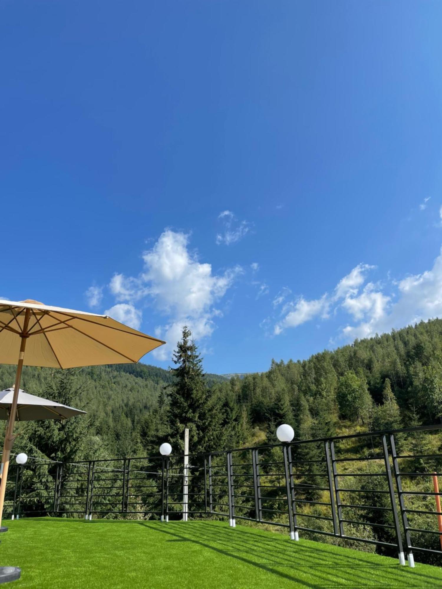 Konopka Forest Home & Spa Bukovel Extérieur photo
